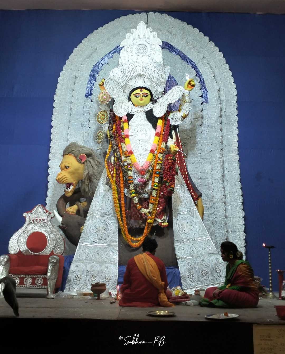Maa Jagadhatri  🤍😍