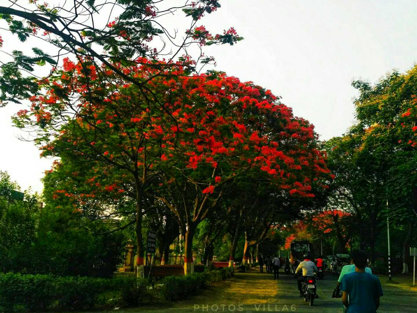 BEAUTY OF NATURE.