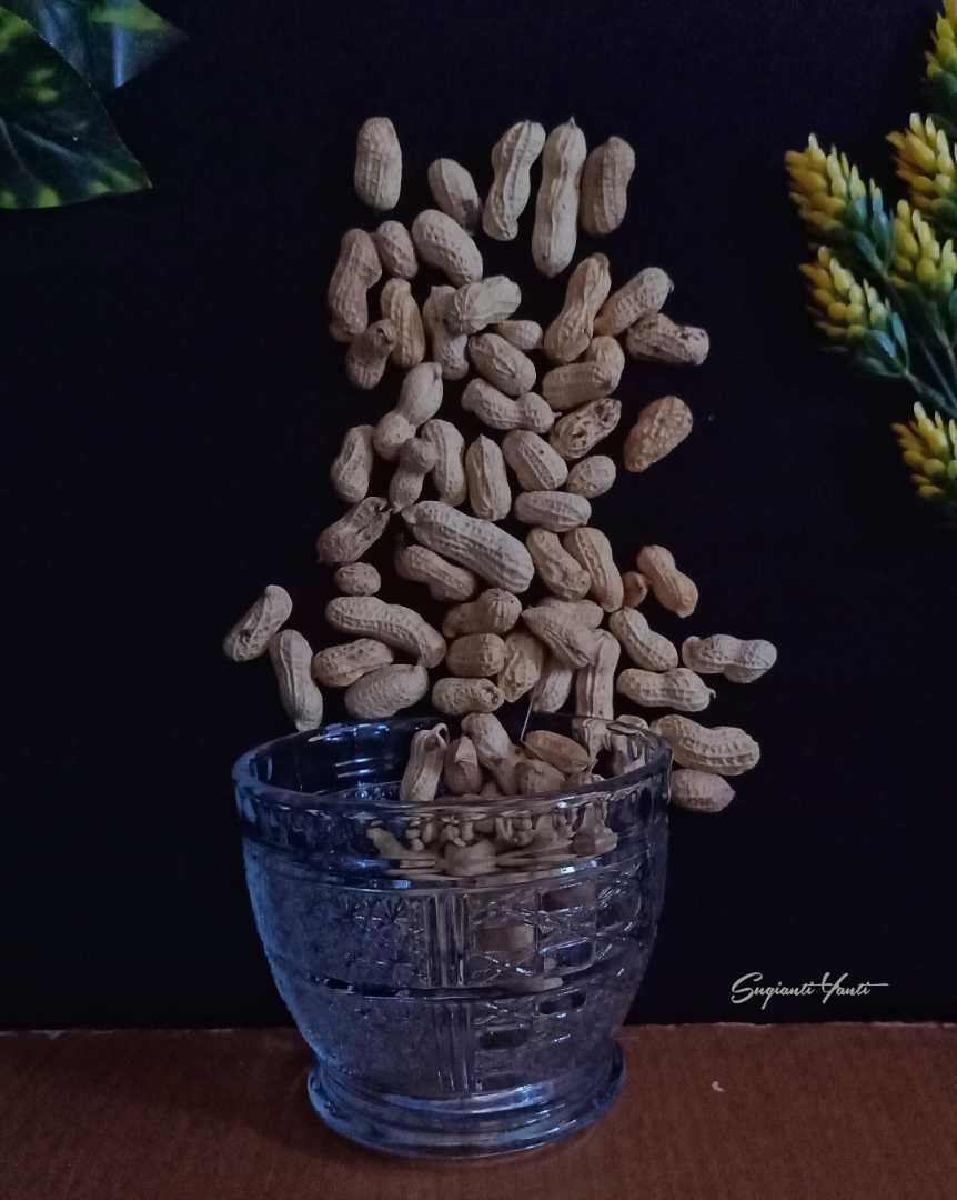Kacang Tanah