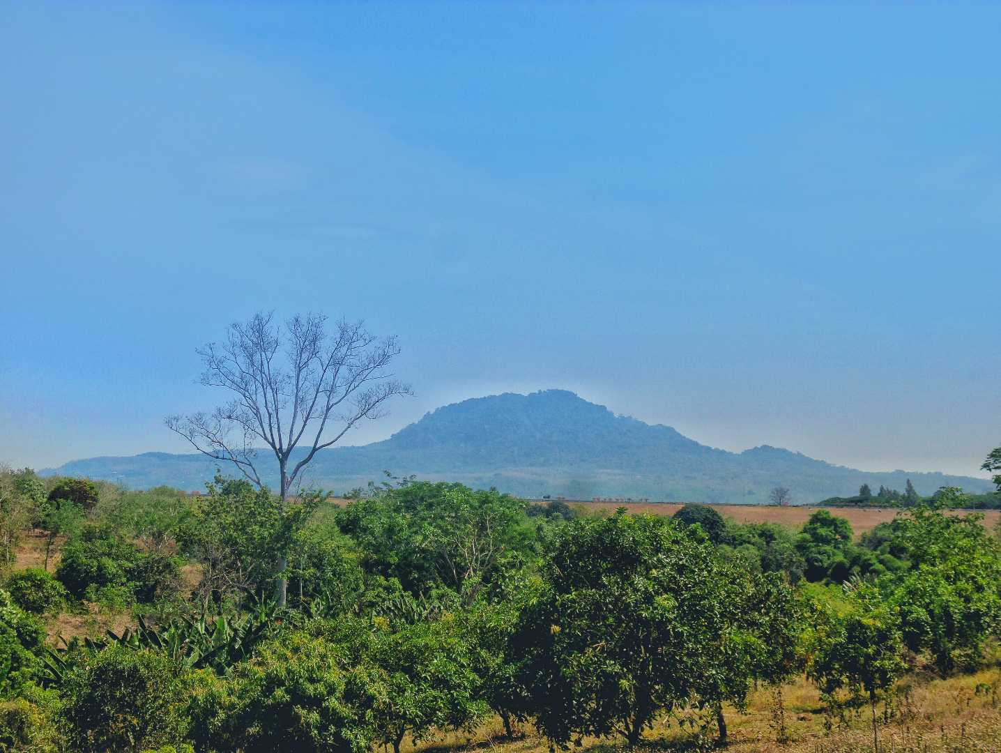 Pandan Mountain