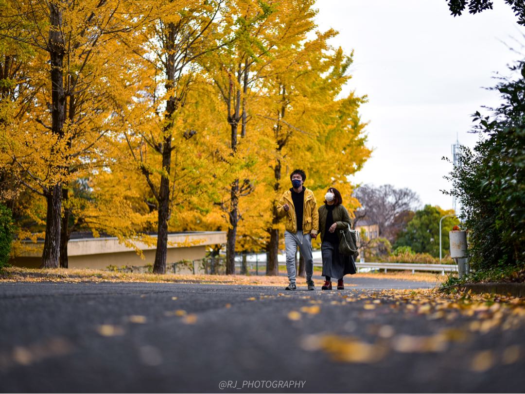 Autumn yellow
