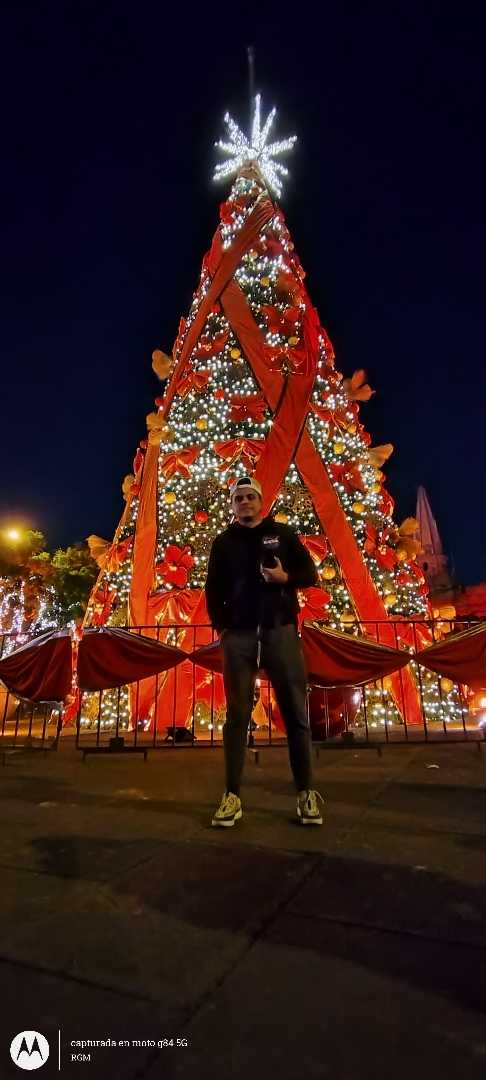 El árbol gigante 🎄