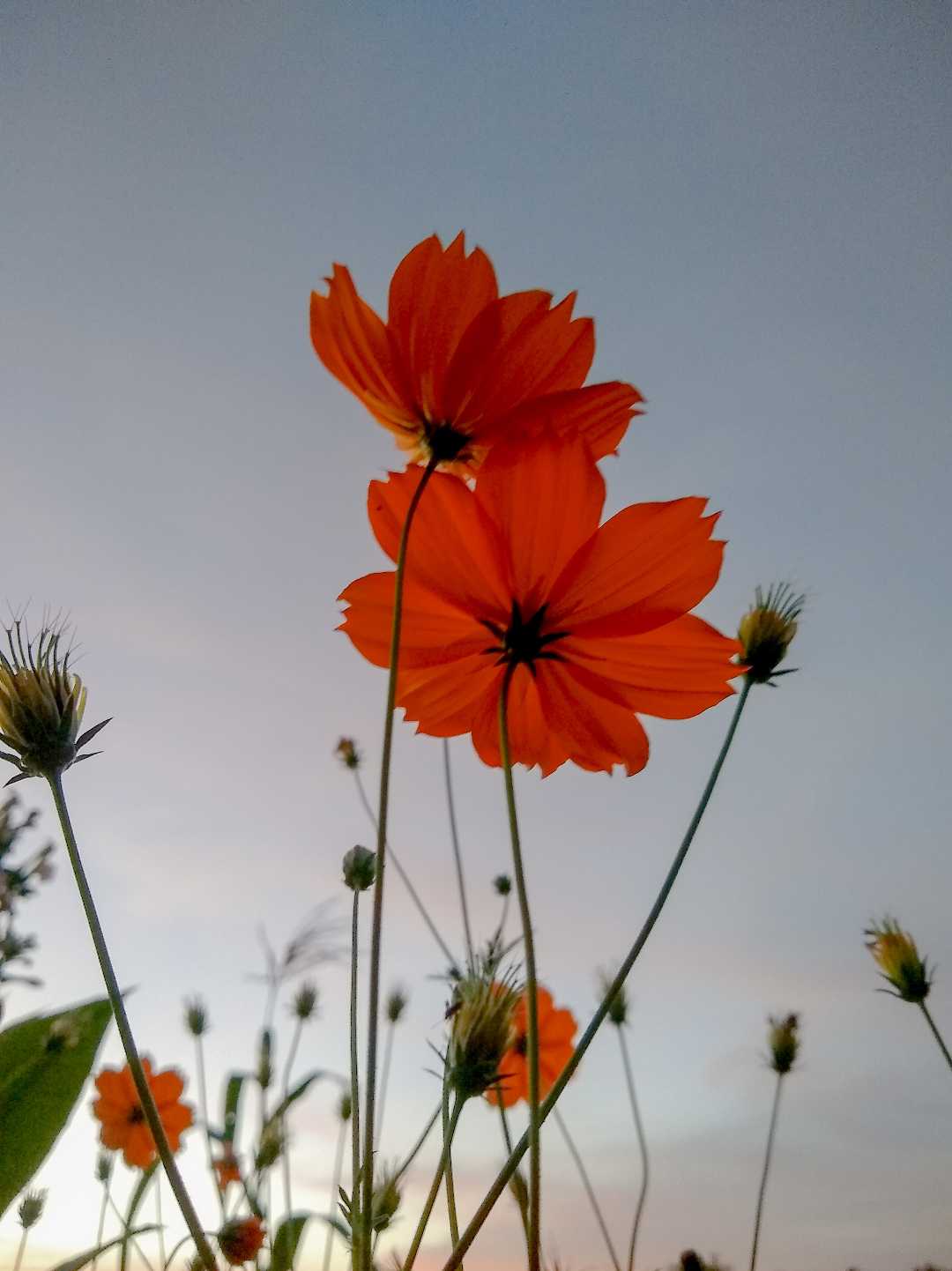 una mirada al cielo 