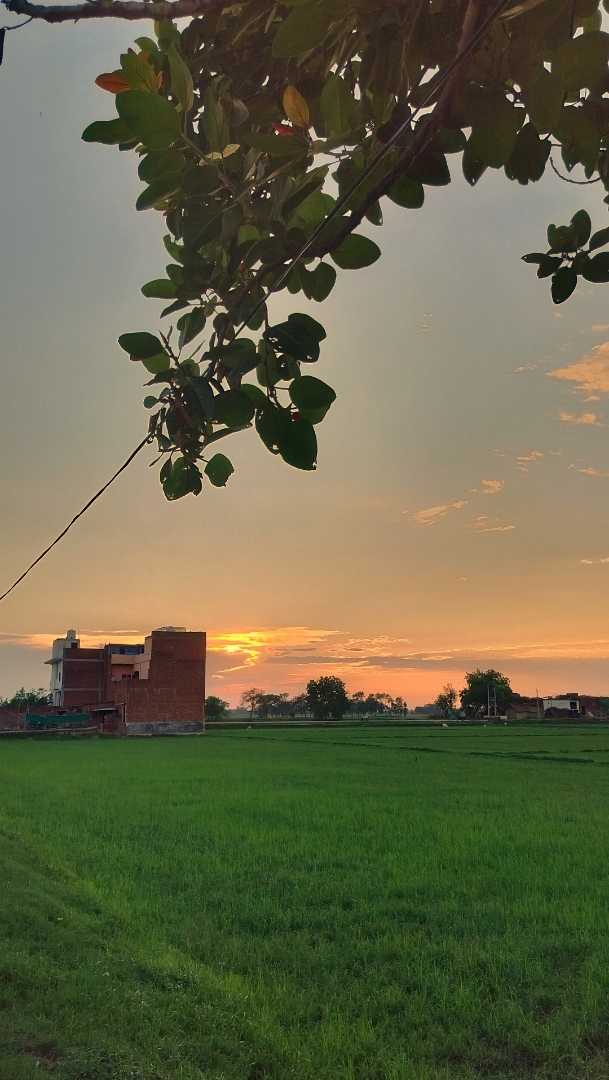 Village vibes