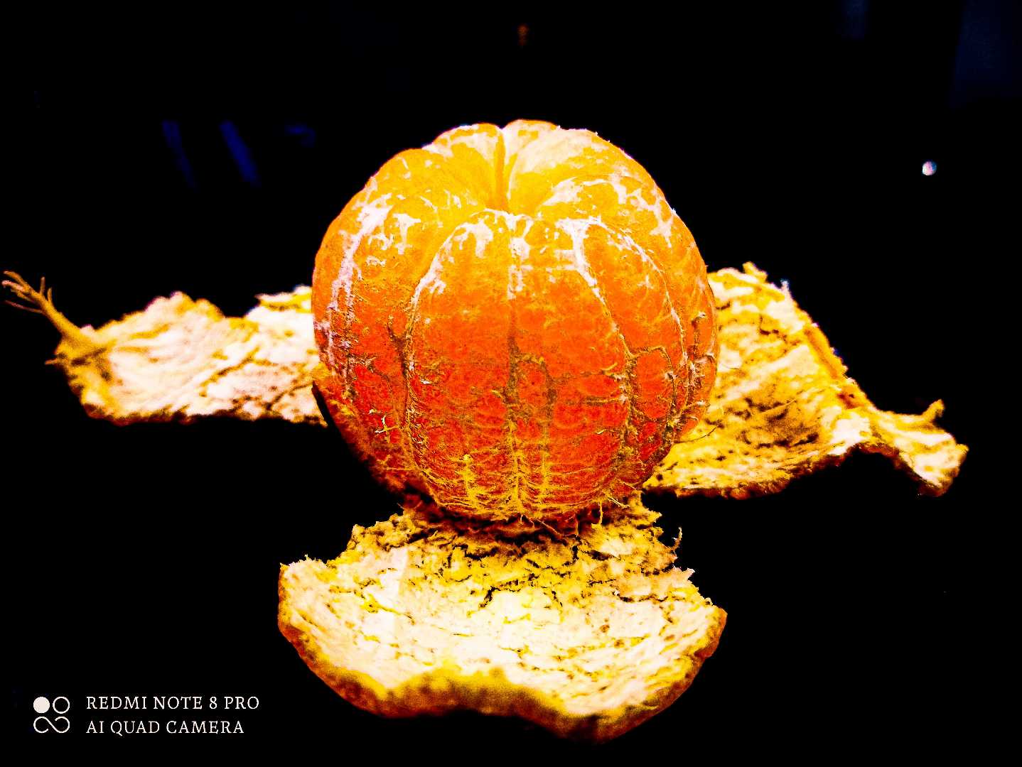 Orange 🍊 
