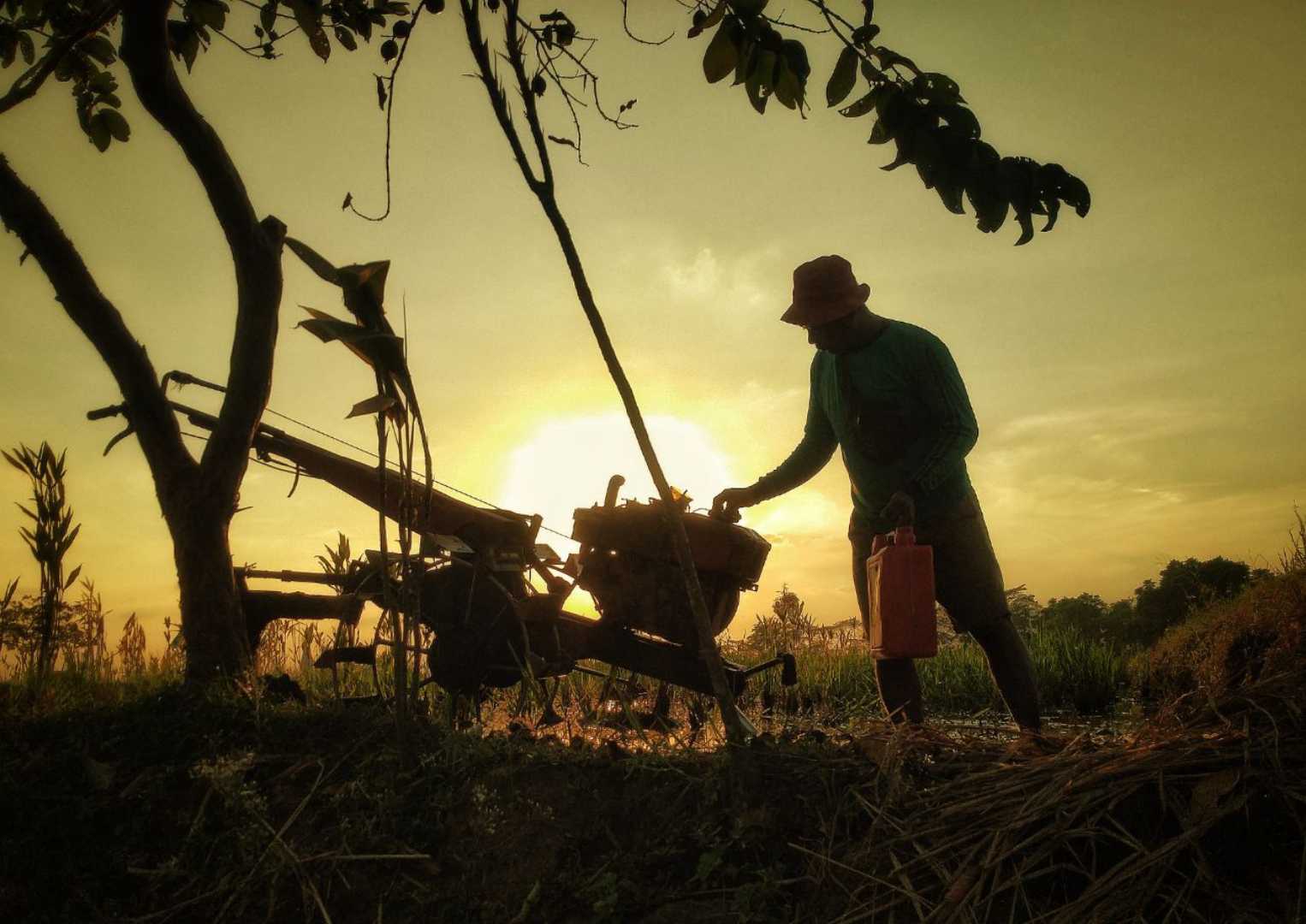 Nyalakan Kehidupan