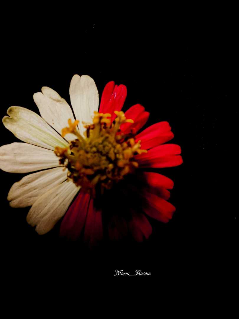 poetic and symbolic