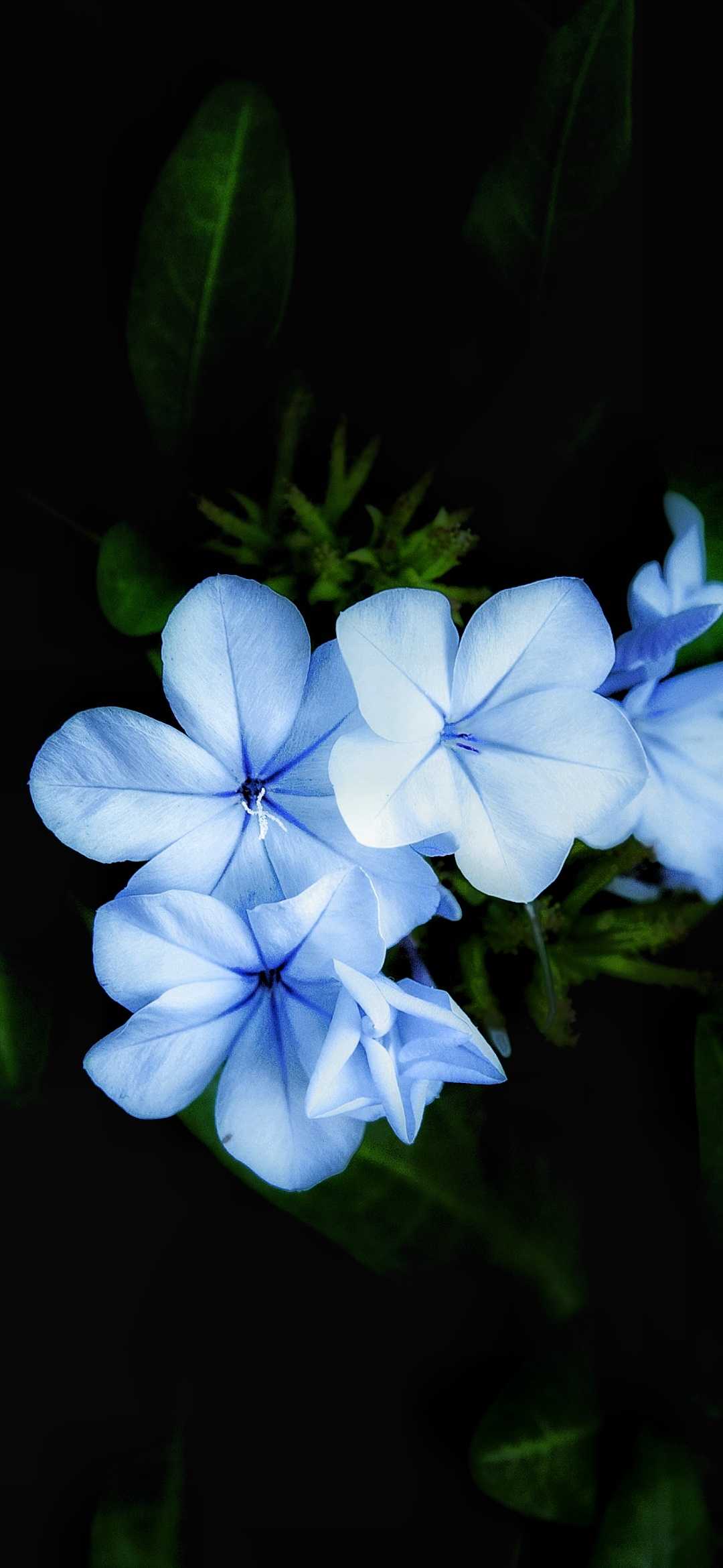 Edited picture 