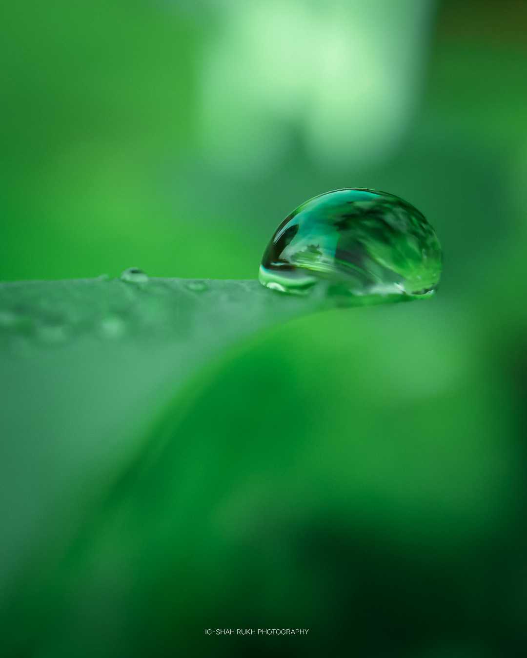 one of my favourite shot 