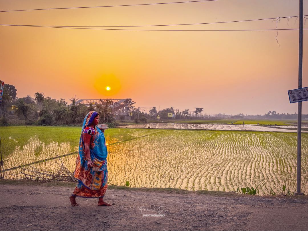 Golden Hour Story