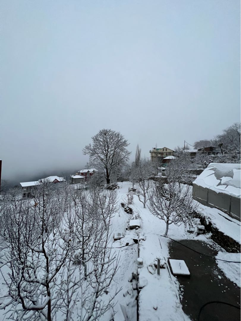 Snowy morning