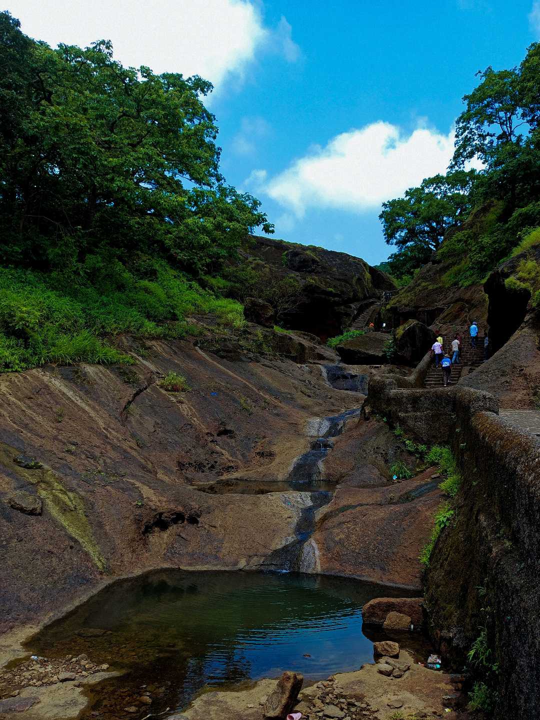 Sanjay Gandi National Park 