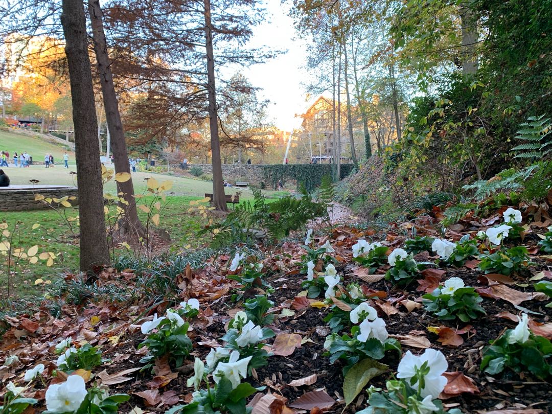 falls park on the reedy 