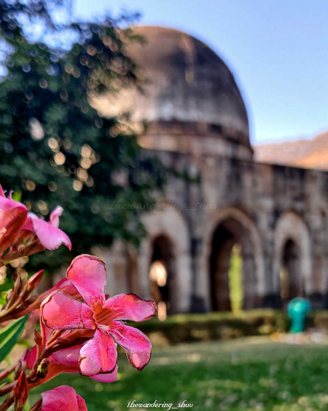 Beauty among neglected