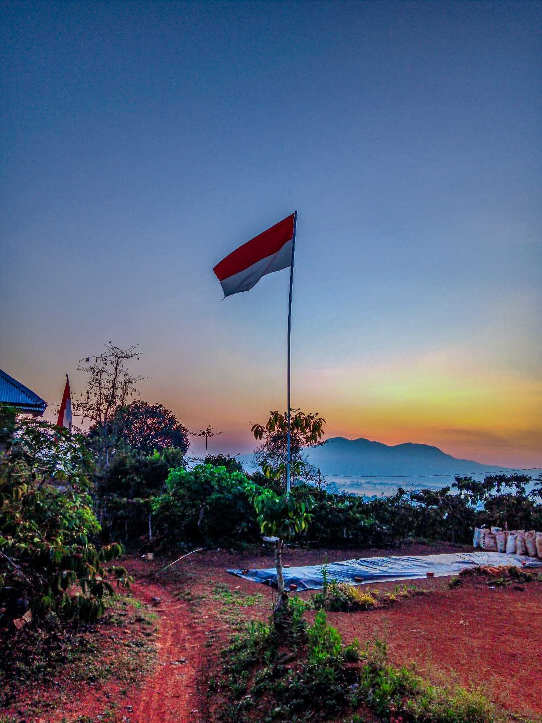 Merah putih