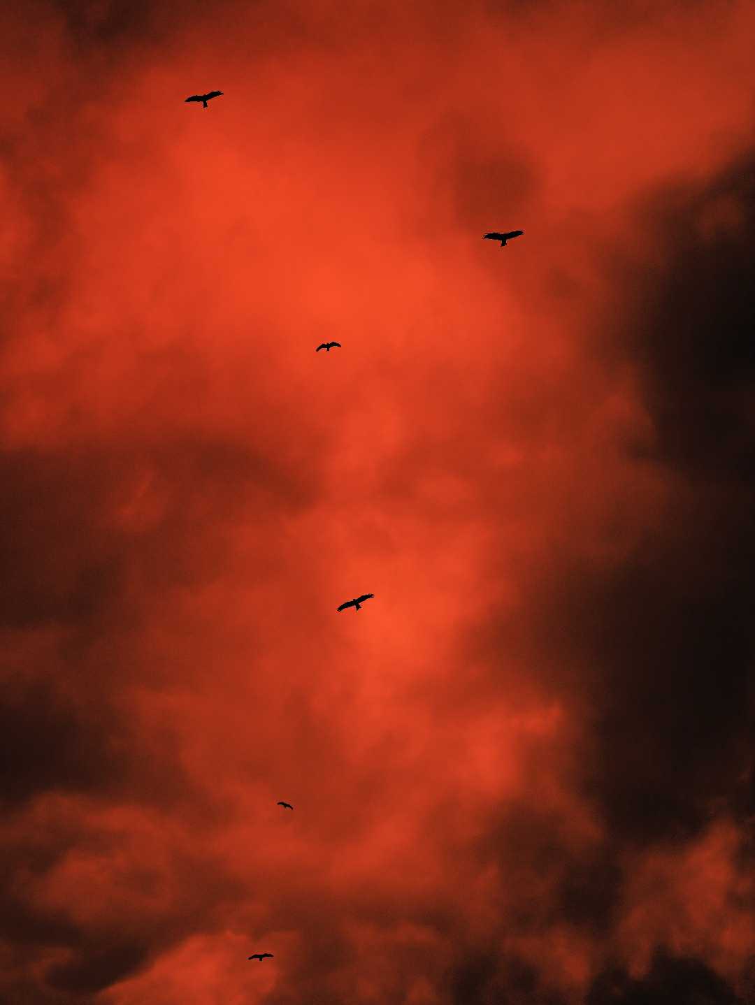 Chasing the Sunset 