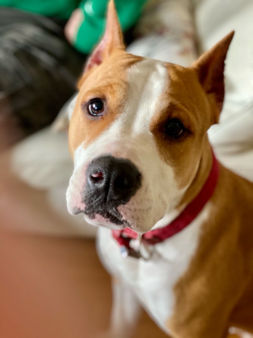 Lola ❤️