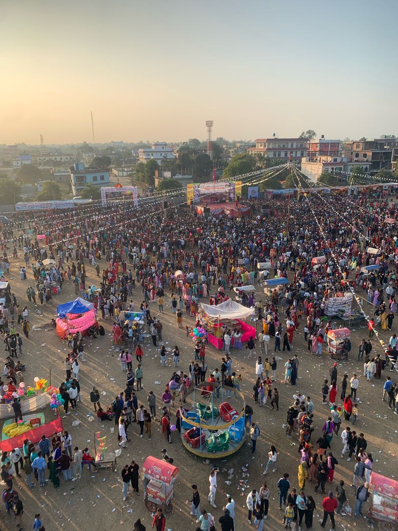 crowd 