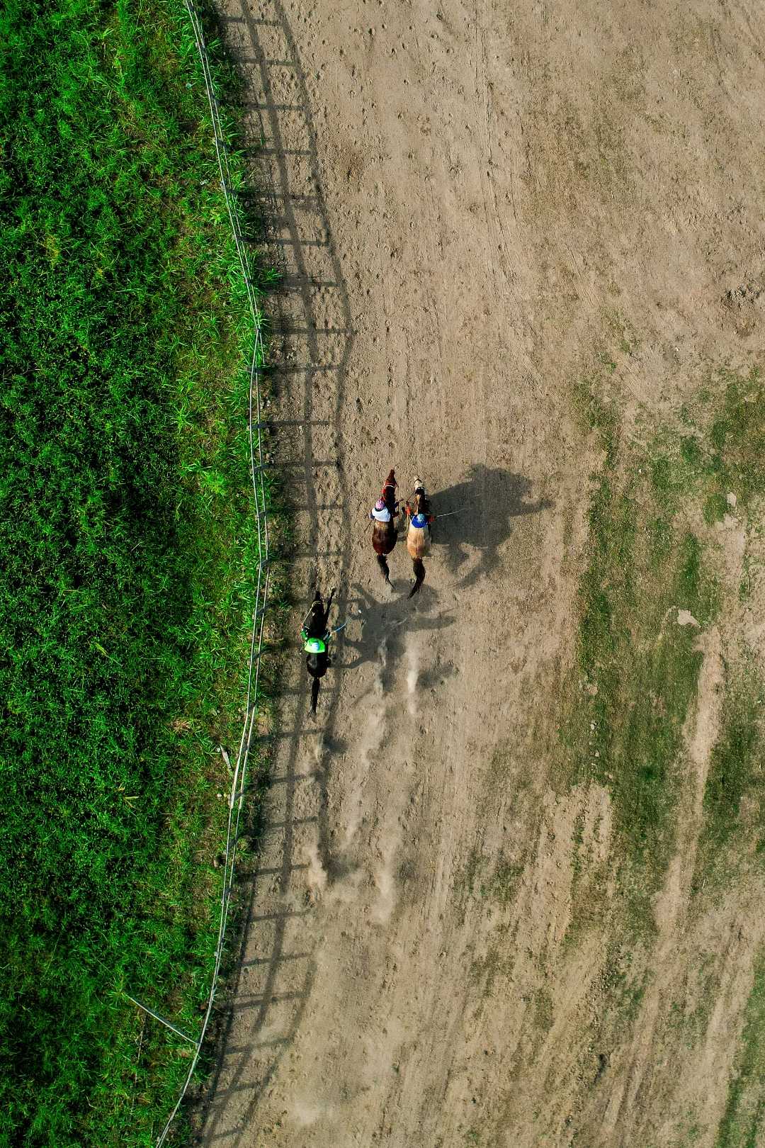 Traditional Horse Race