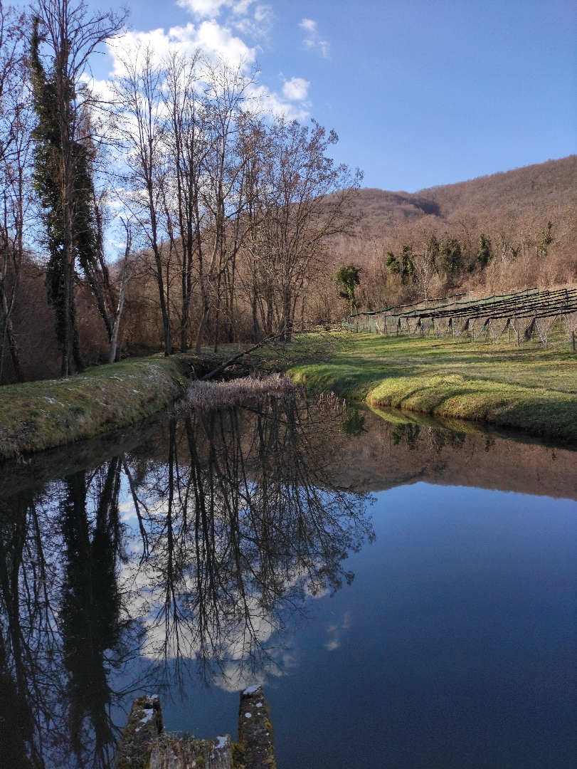 Beautiful nature