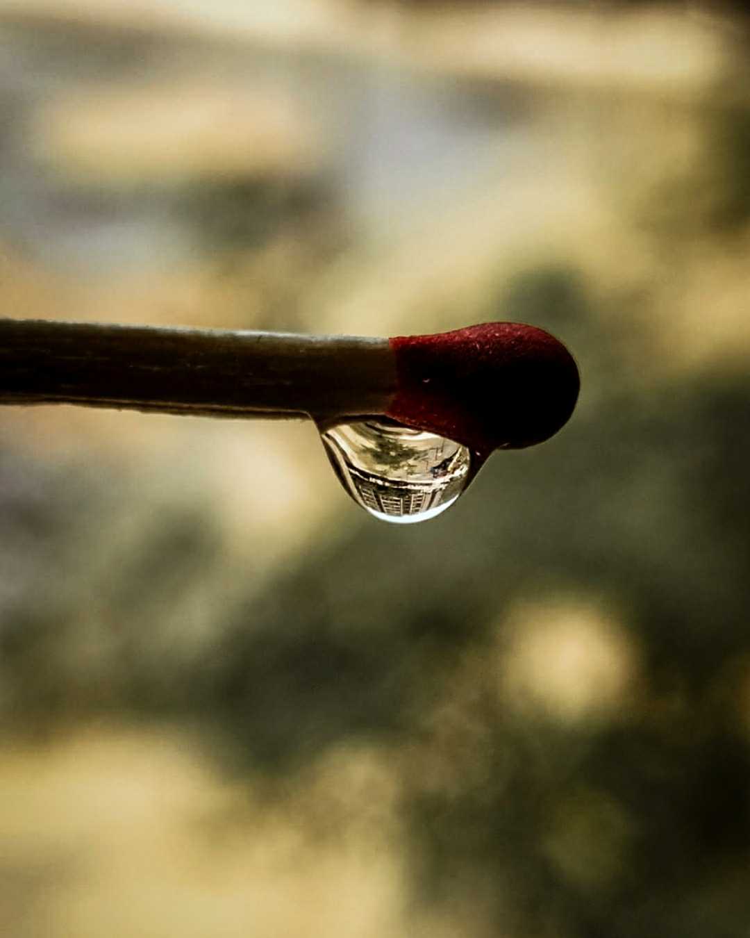MACRO SHOT