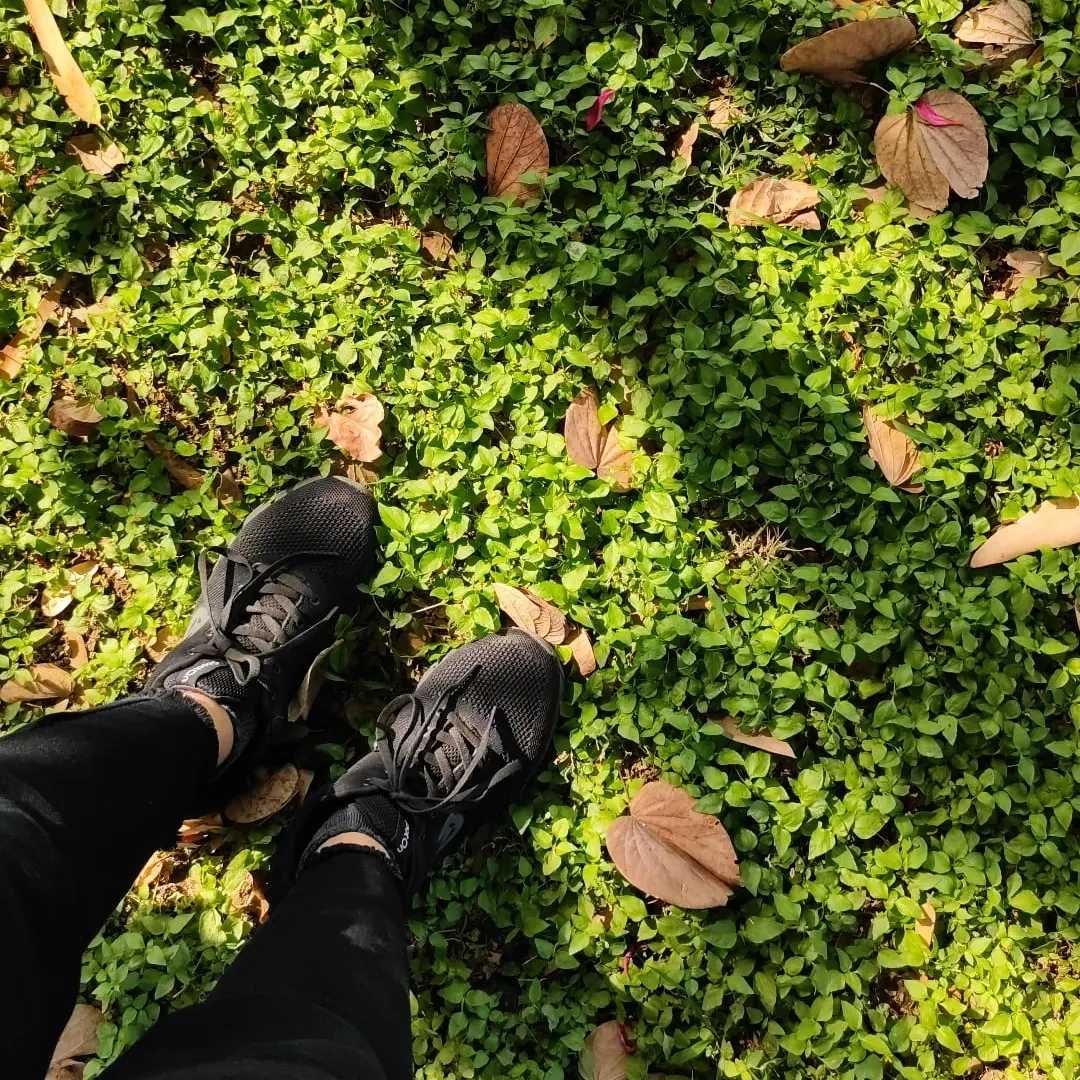 Some Greenery🌱✨