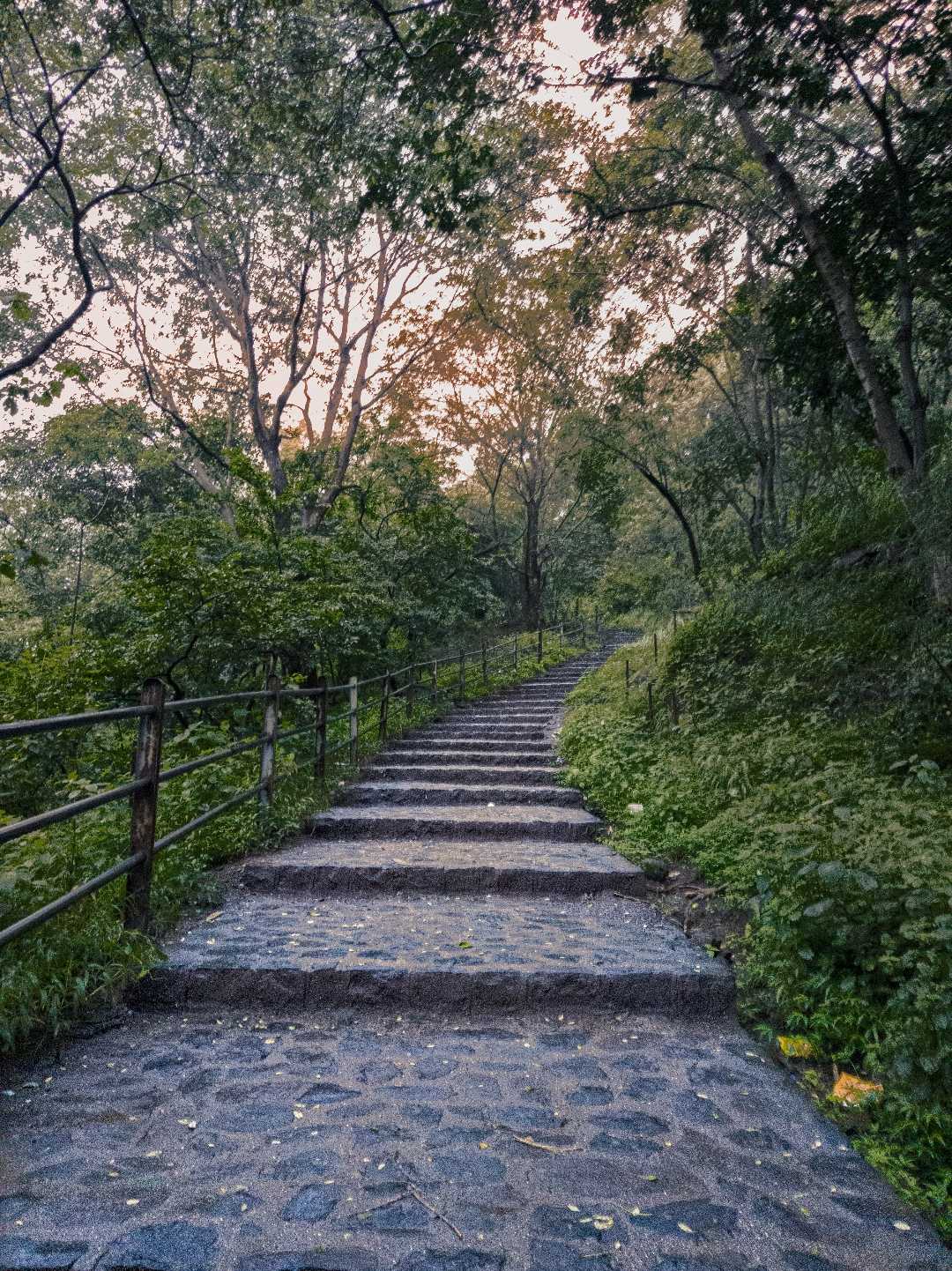 Staircase to Ancient Caves.