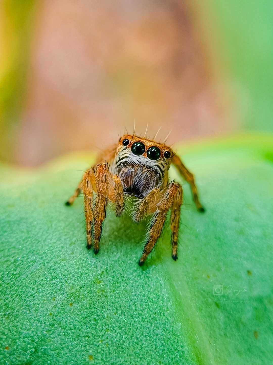 Cute Eye 👀😍