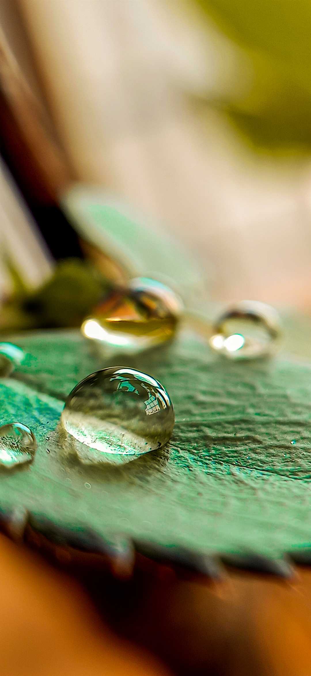 macro drop 💧