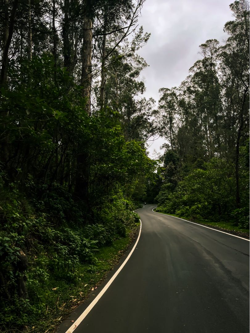 A road to Tiger Reserve 