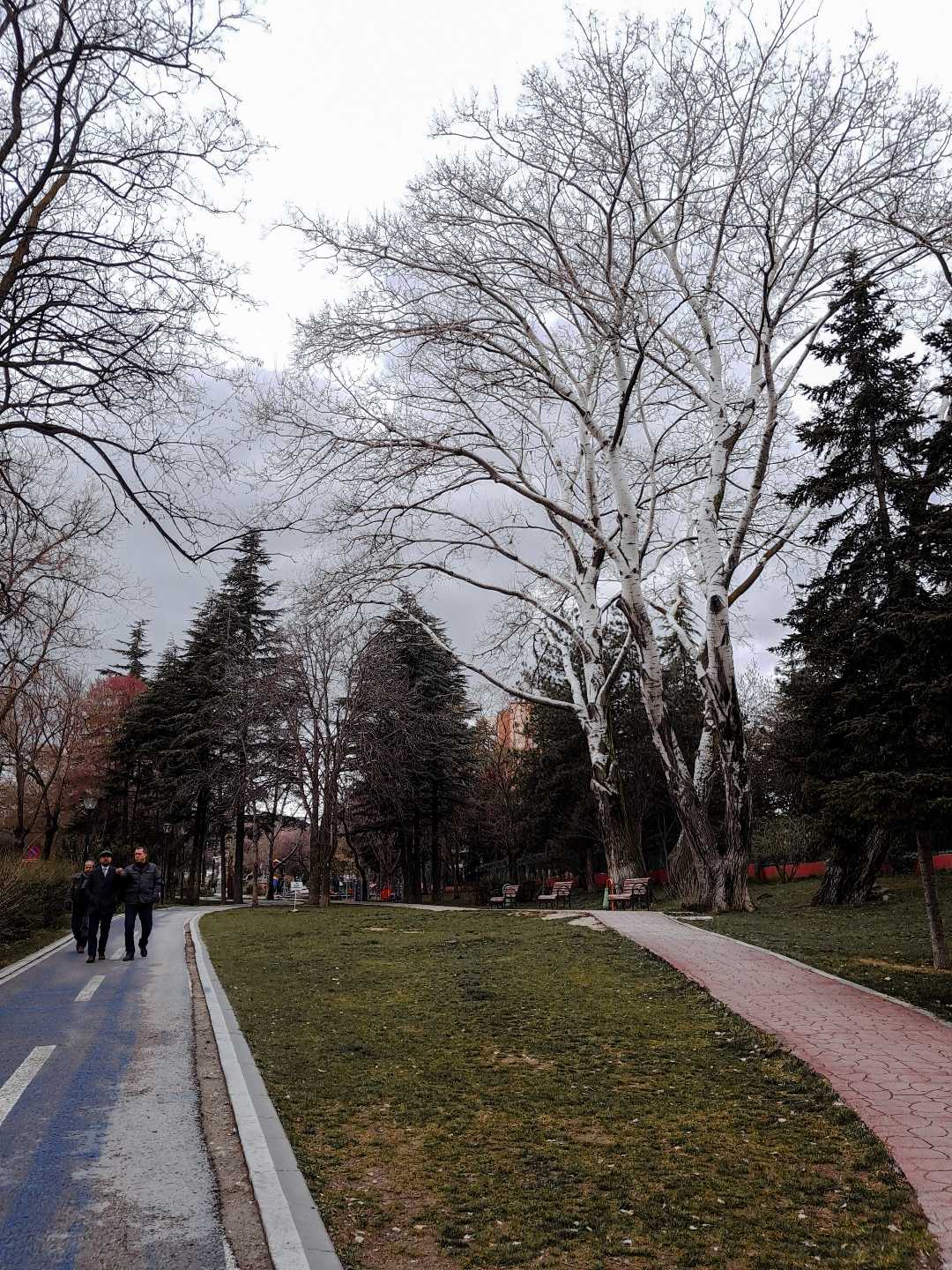 7.cadde