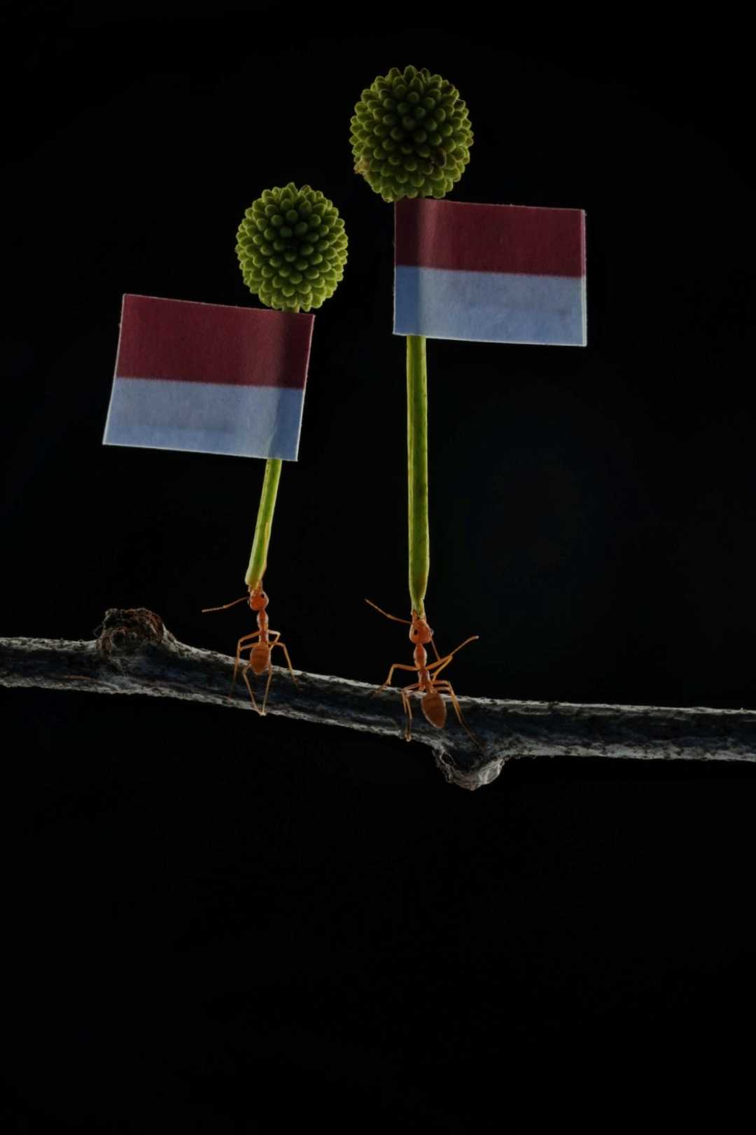 Merdeka