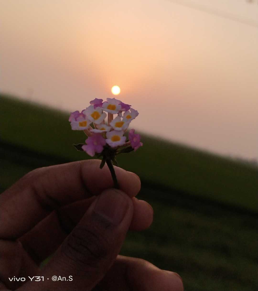 Soul healing sunset ✨