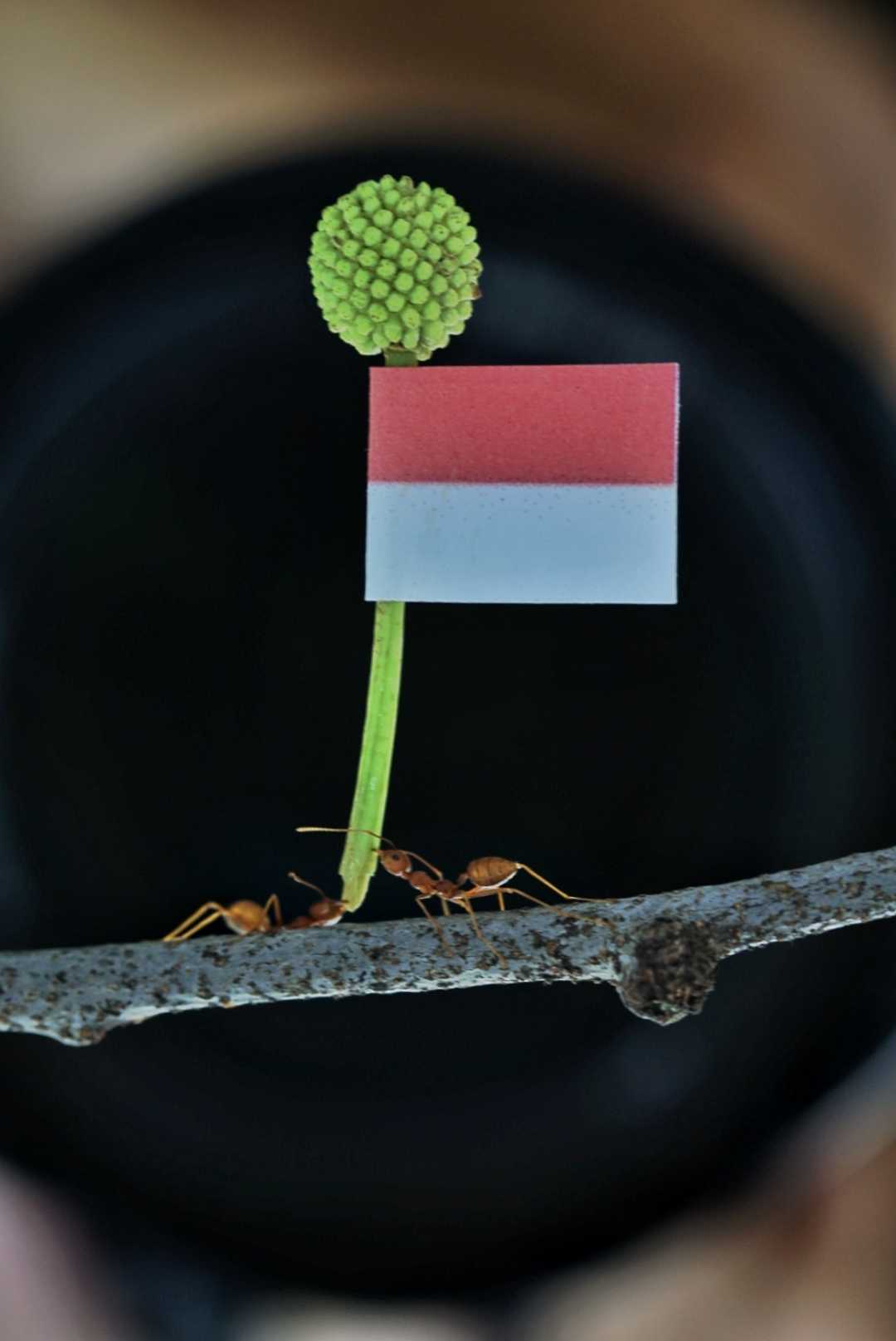 Bersama Kita Bisa