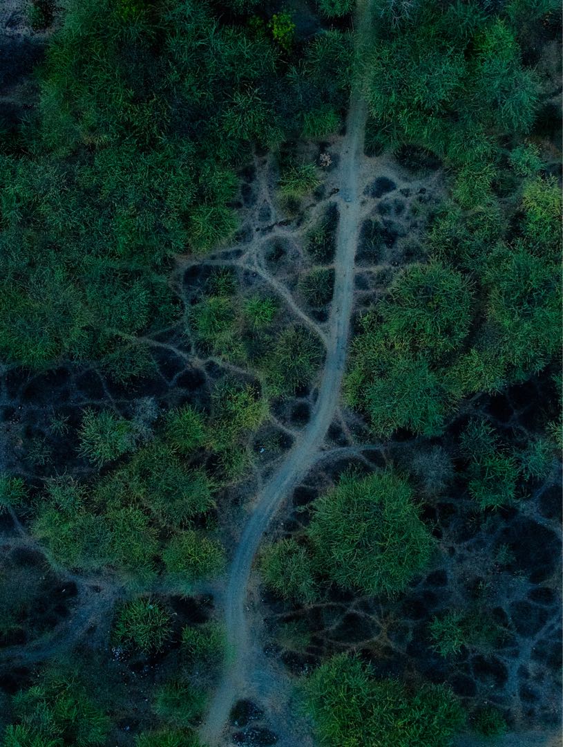 pattern by public