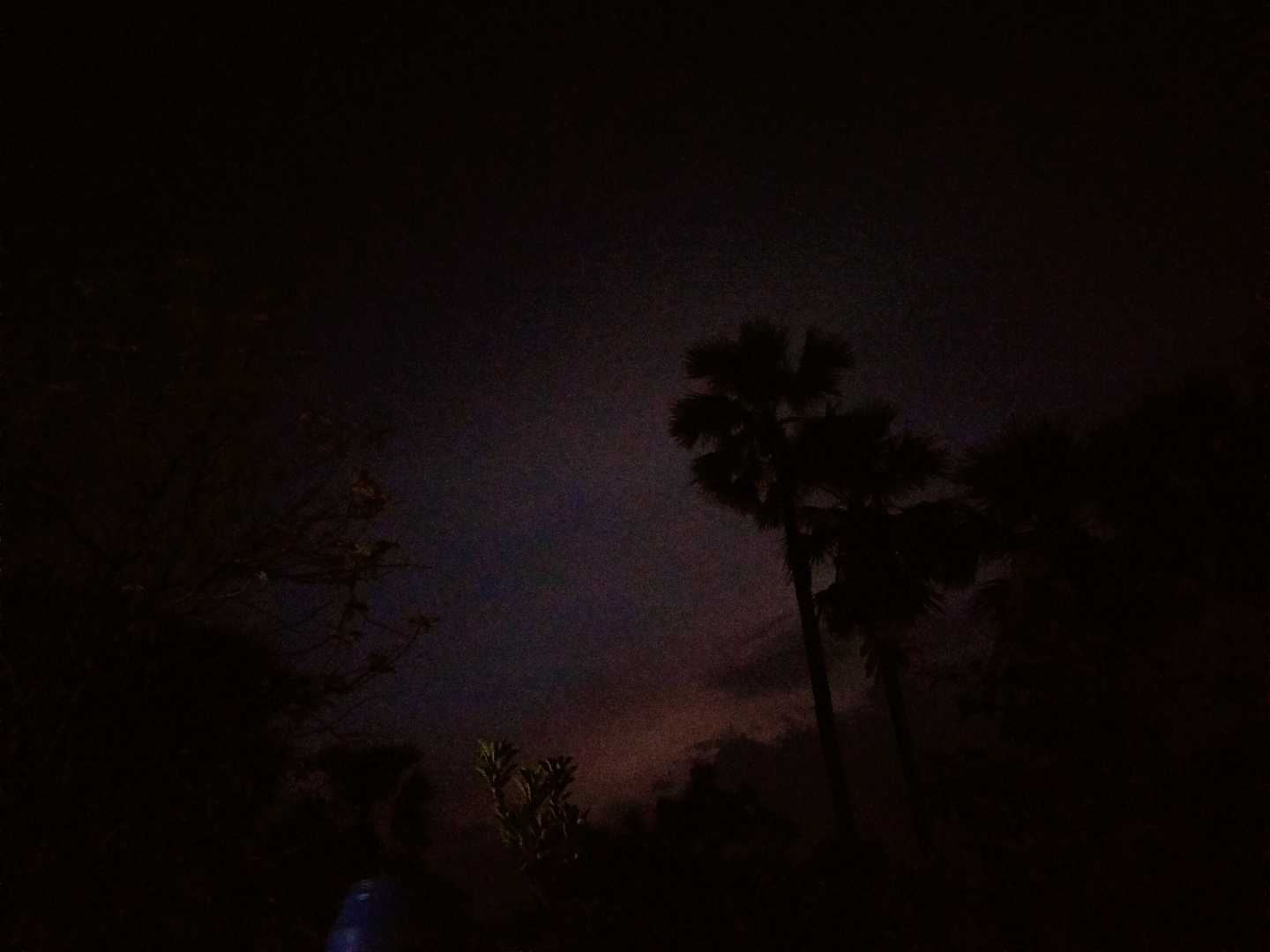 Beautiful night ✨