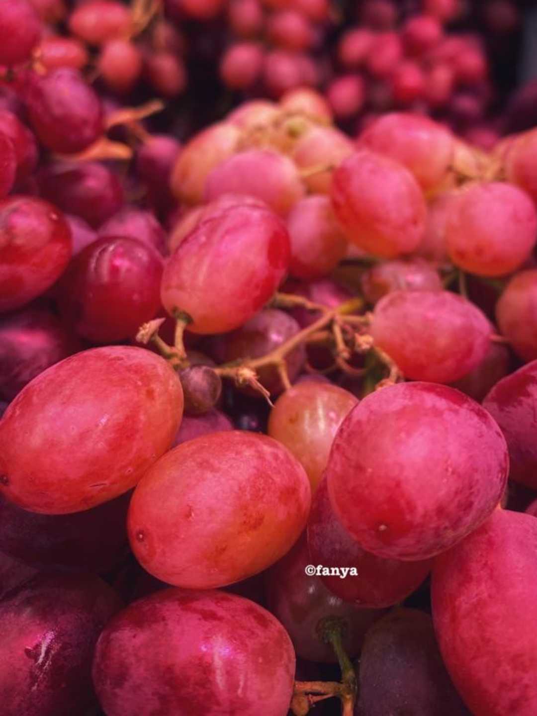 Anggur merah