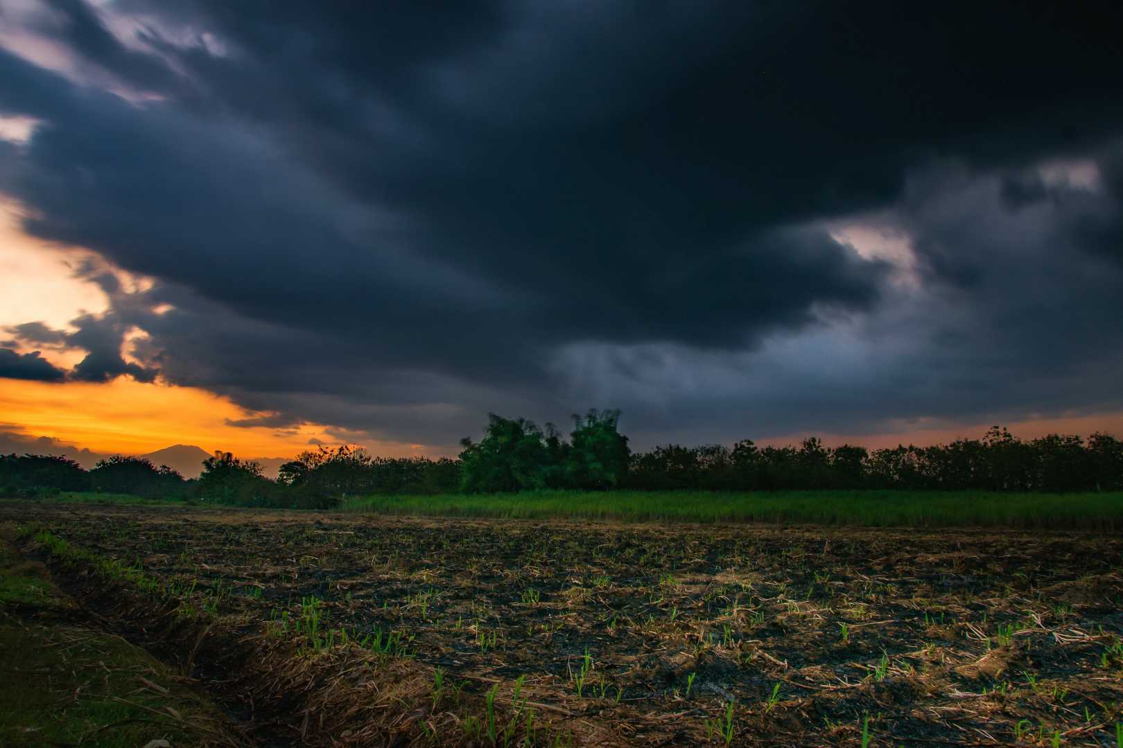 Black Sky