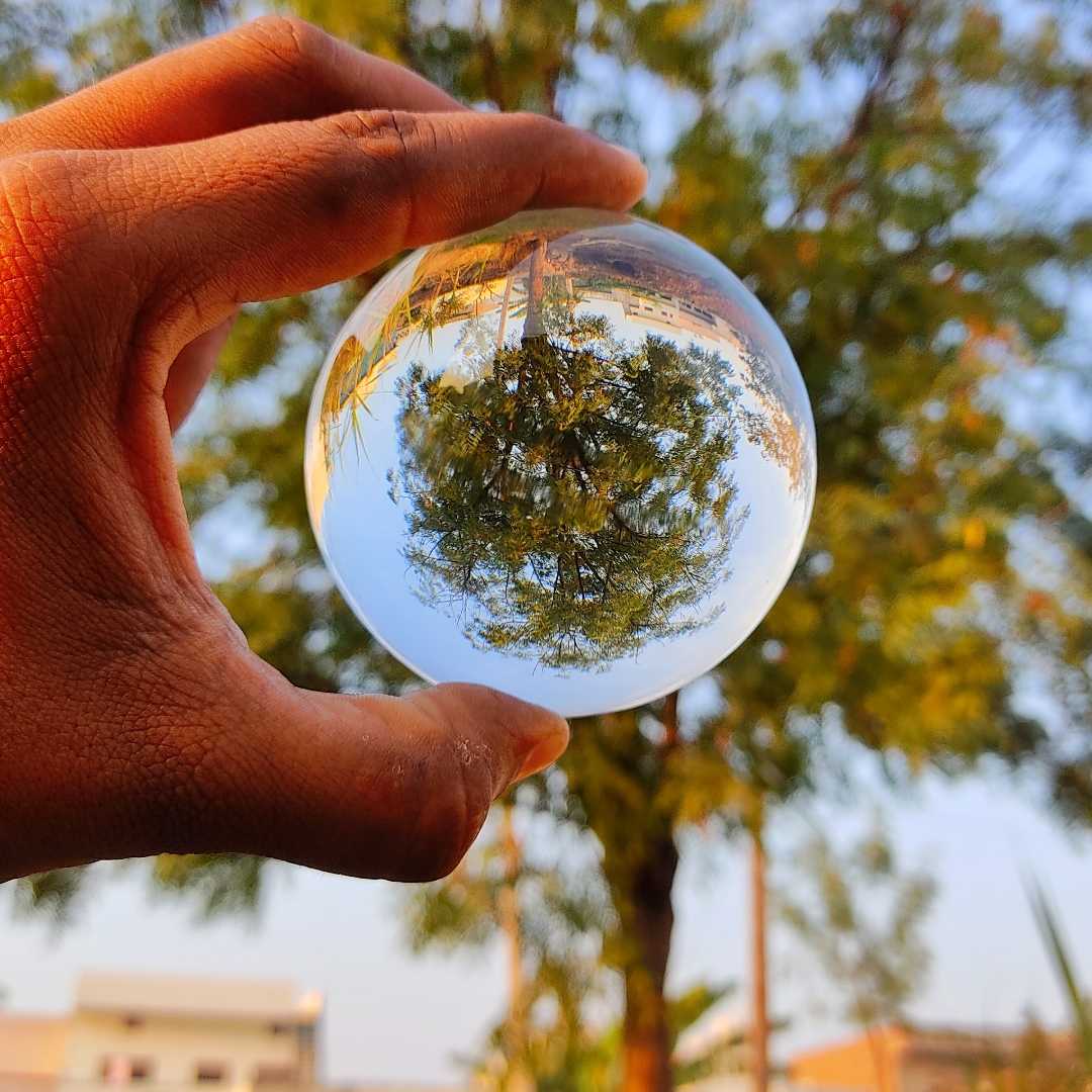 lens ball 🏀