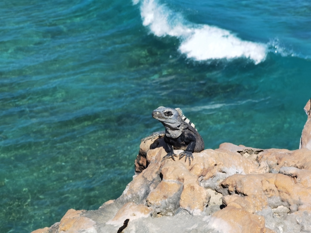 Punta Sur, Isla Mujeres 
