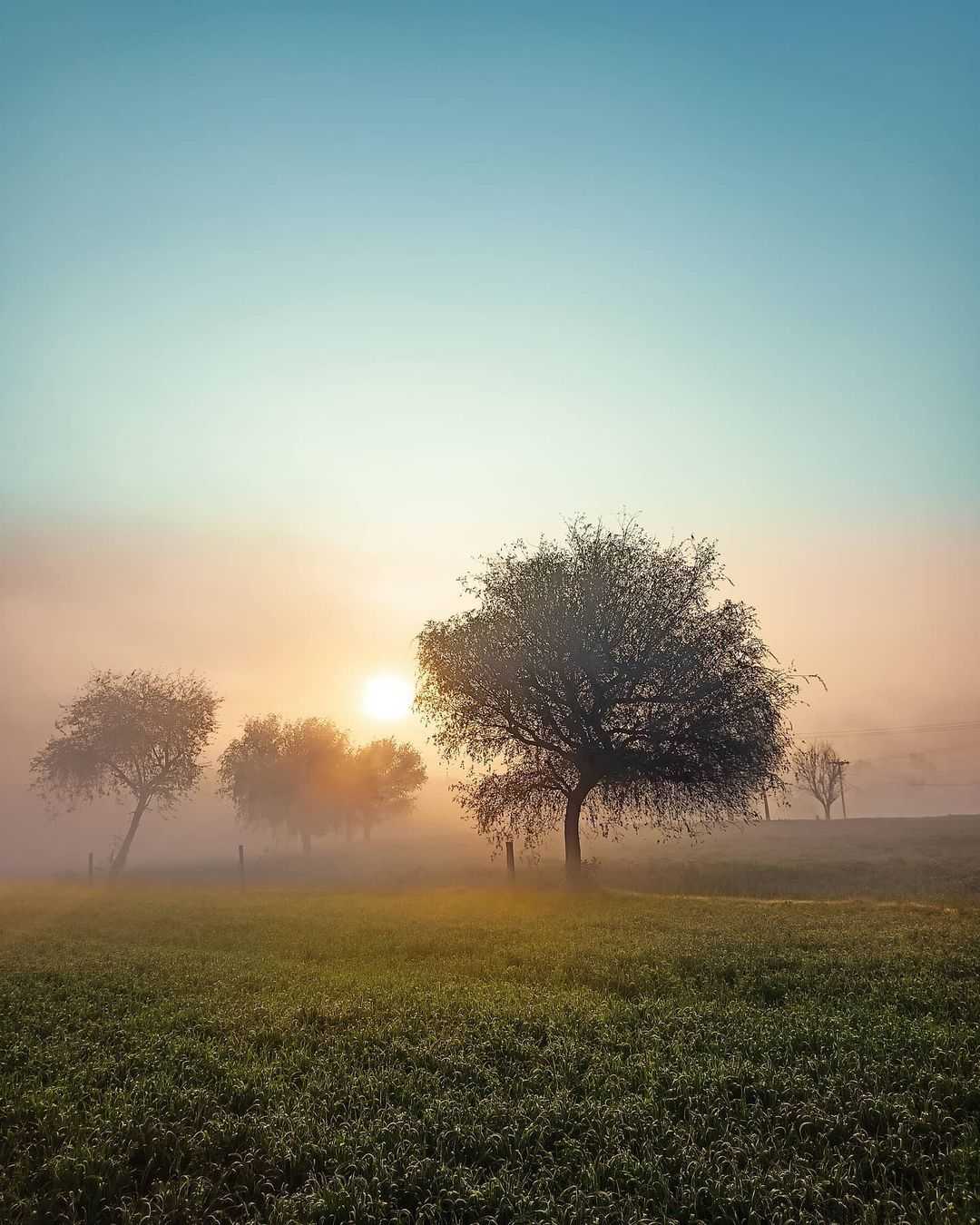सुबह ओर सूर्योदय