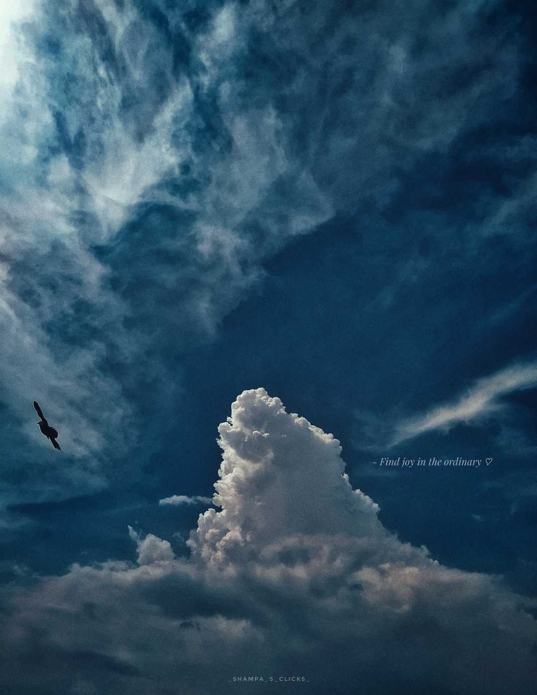 THE CLOUDS 🕊️