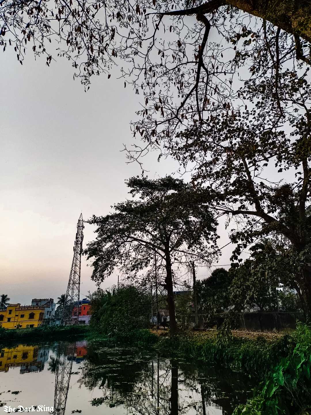 nature 