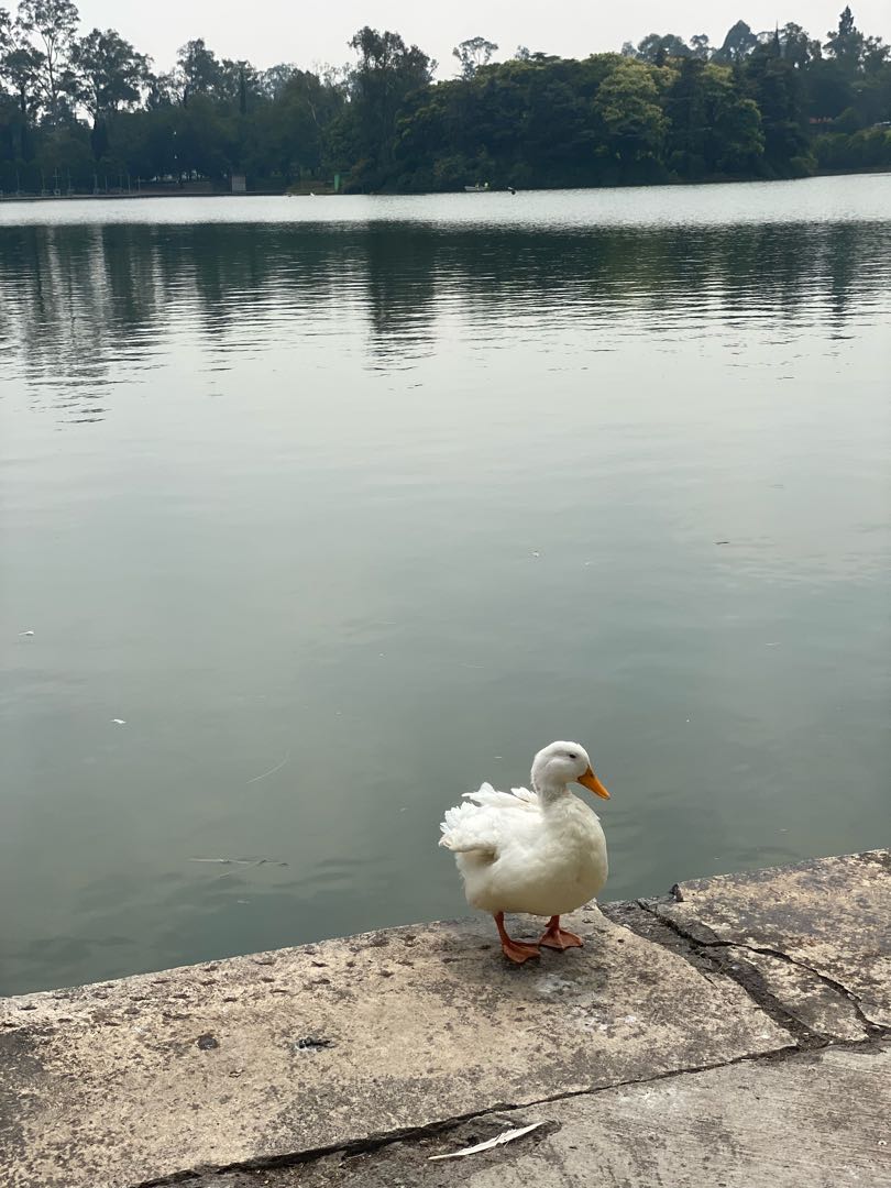 just chilling 