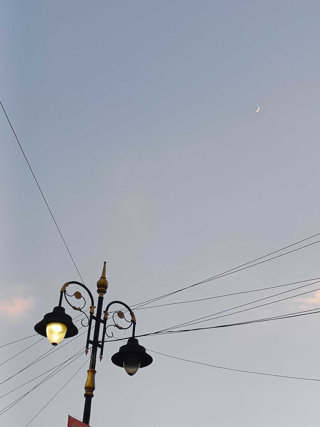 the lamp