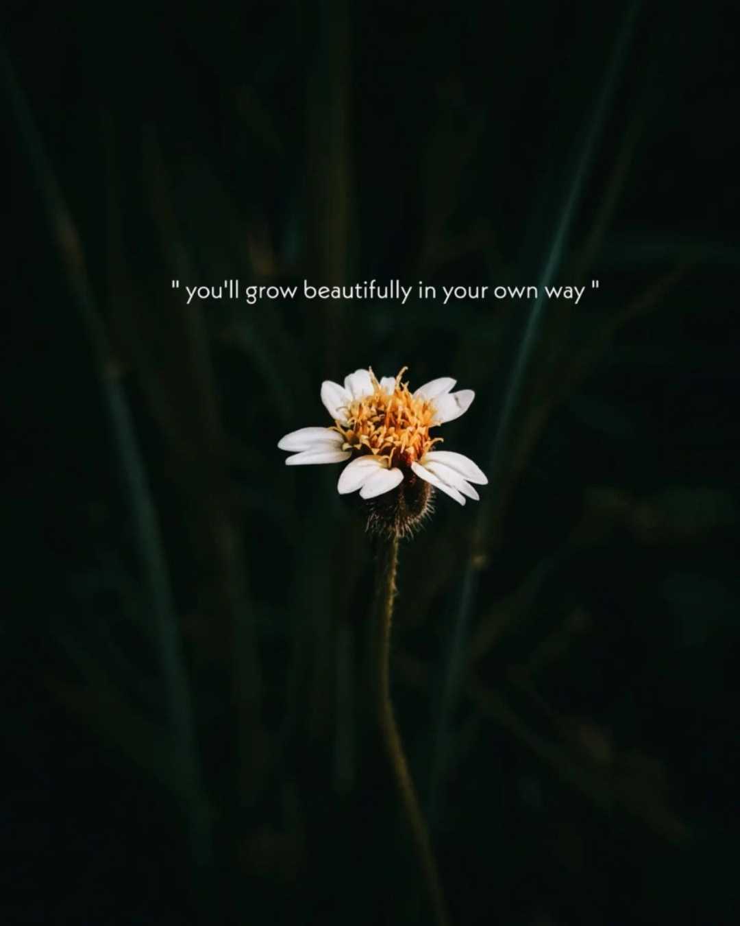 🌼