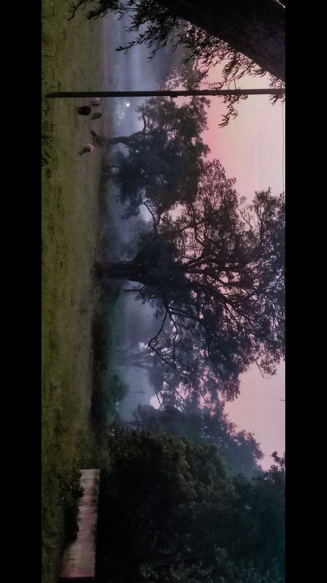 hazy morning 
