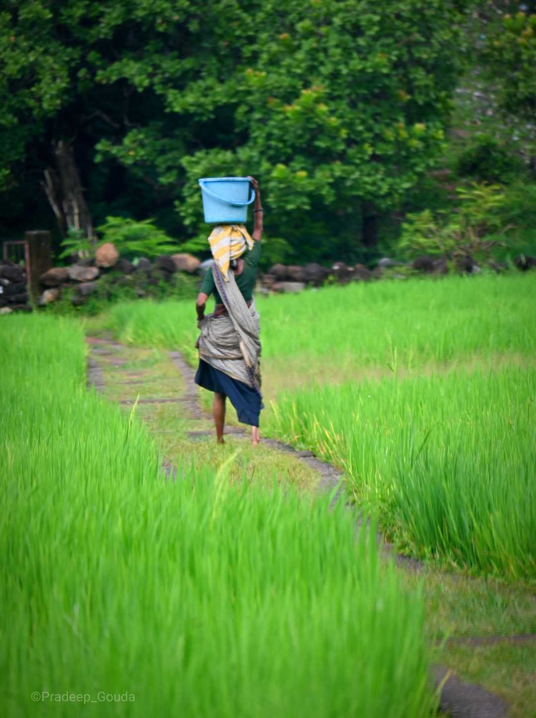 Village Life