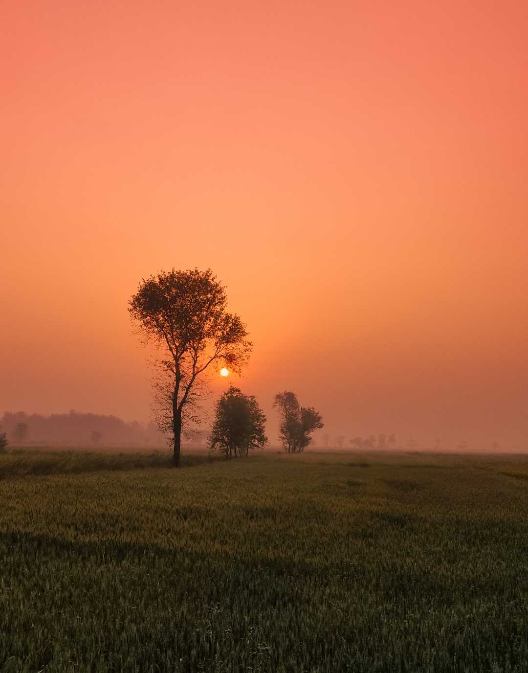 A beautiful sunrise 🌄