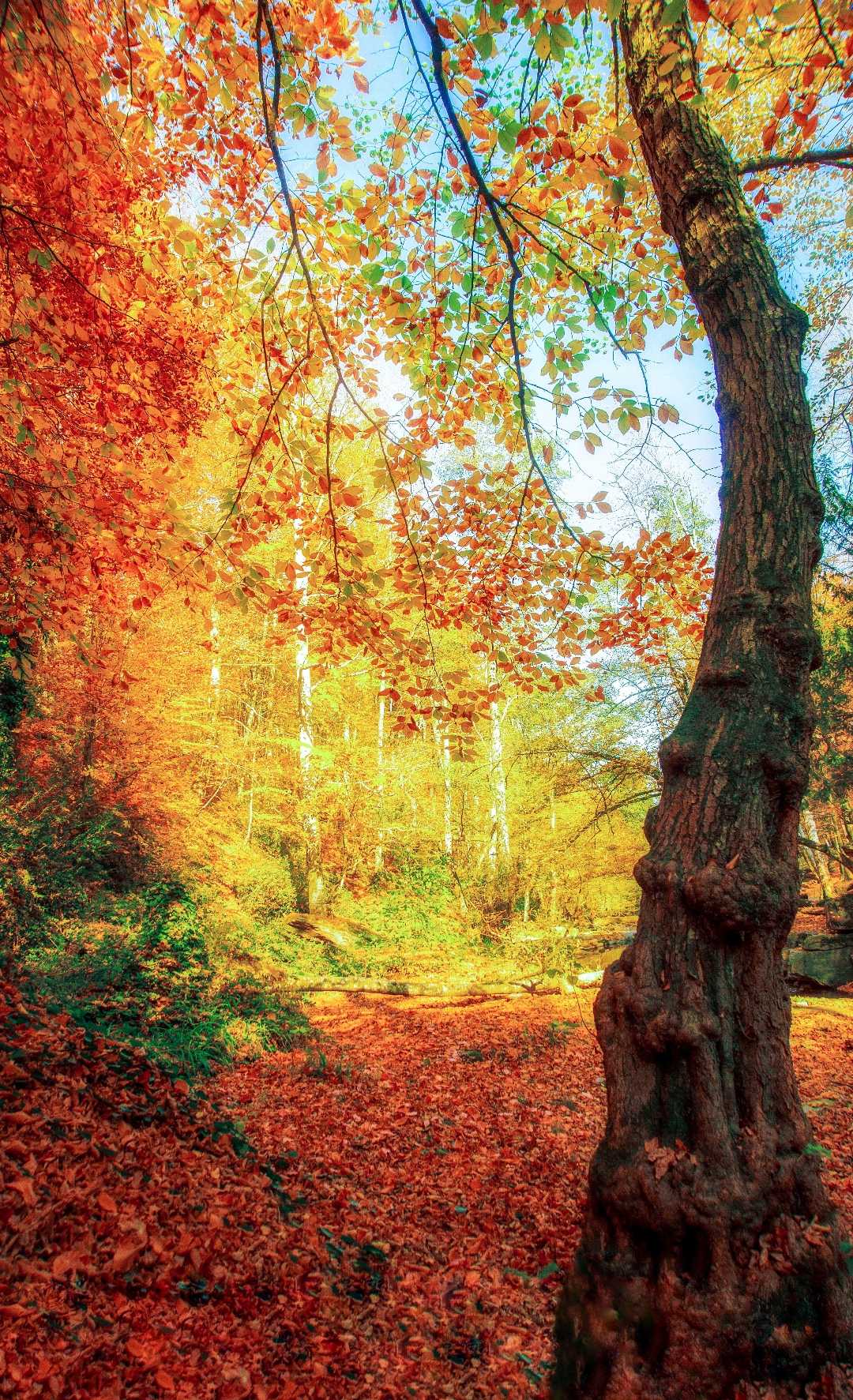 Mevsimin büyüsü başka 🍂🍁🧡